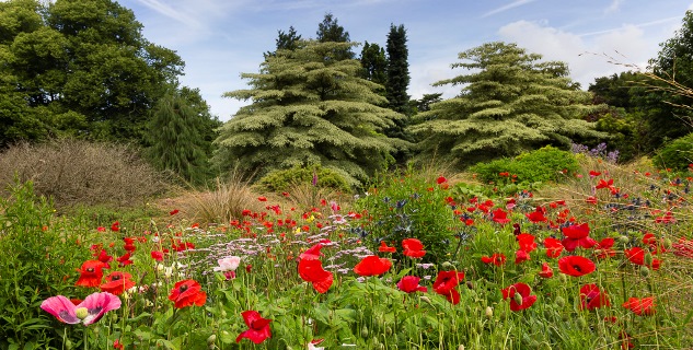 The Garden House in Devon close to Torquay and The English Riviera
