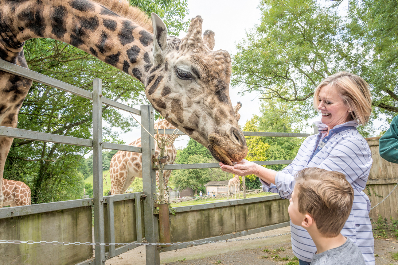 Paignton Zoo attraction on The English Riviera for visitors in accommodation in Torquay.