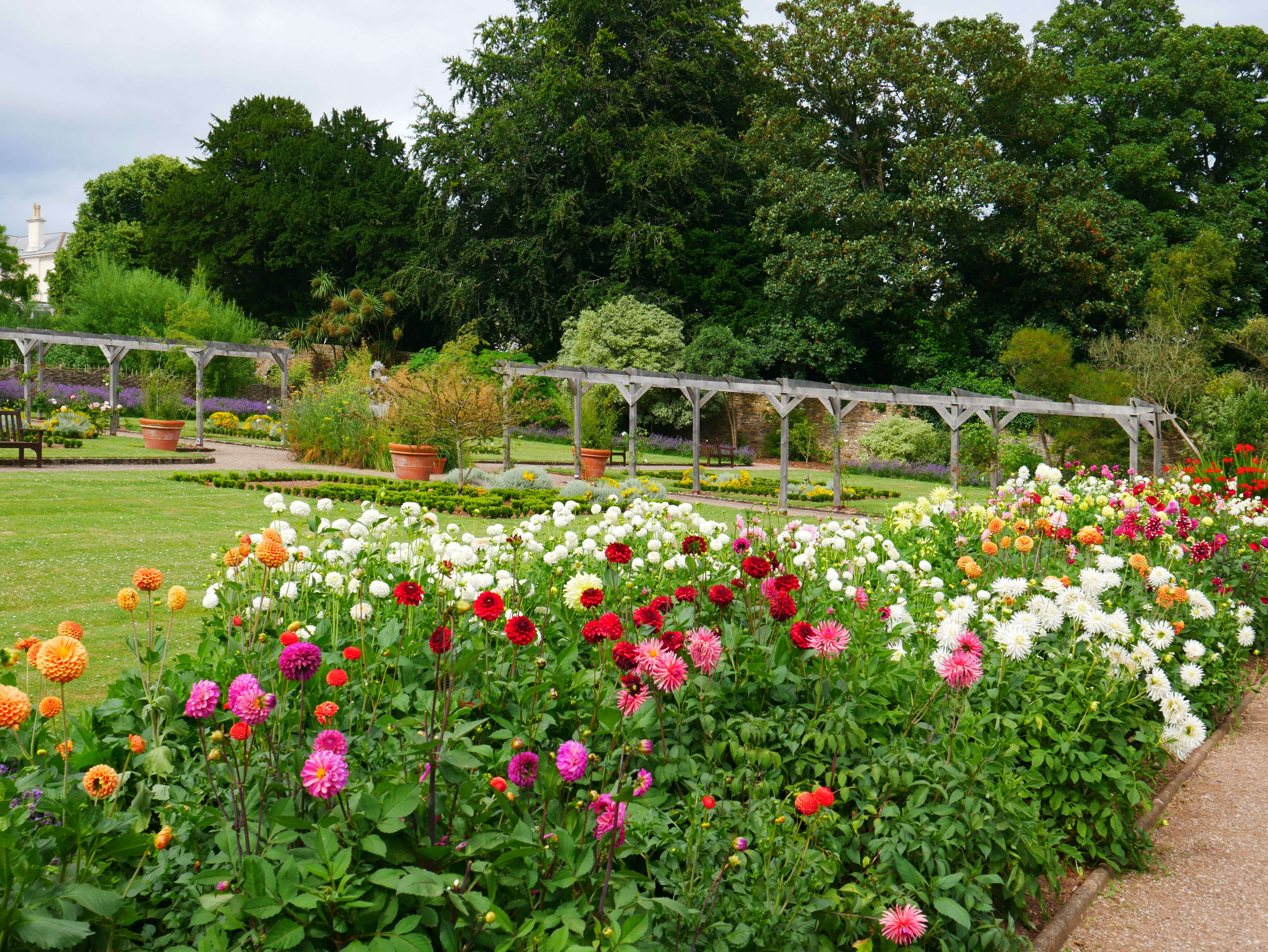 Torre Abbey Gardens in Torquay